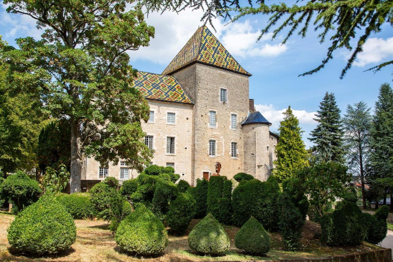 סאנטנה Camping De Santenay מראה חיצוני תמונה
